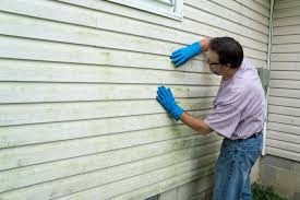 Best Custom Trim and Detailing for Siding  in North Pearsall, TX